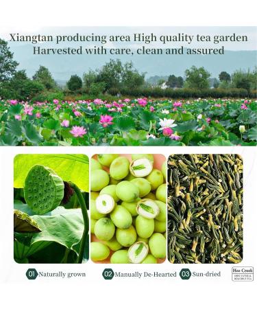 Lotus Seed Core Tea for Men Natural Lotus Seed Heart Tea Dried Lotus Plumule Lotus Embryo Tea Liver and Kidney Care Tea Men's Toning Tea Lian Zi Xin Tea Chinese Kidney Care Tea (3PC-125g) - Buy Online on SooperMarket.com