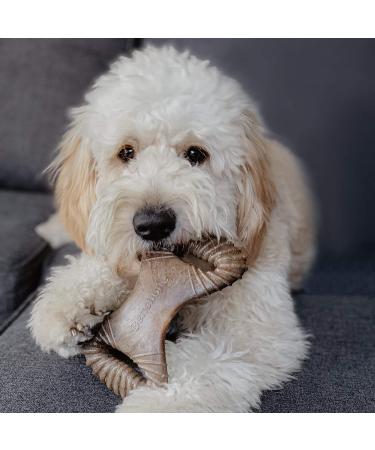 Benebone Dental Dog Chew Toy for Aggressive Chewers - Long Lasting - Made in USA with REAL Bacon - Medium - Buy Online on SooperMarket.com