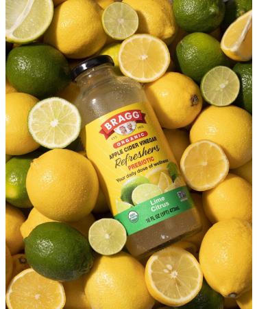 Bragg Organic Apple Cider Vinegar Limeade Drink 16 oz (Pack of 2) - All Natural - Buy Online on SooperMarket.com