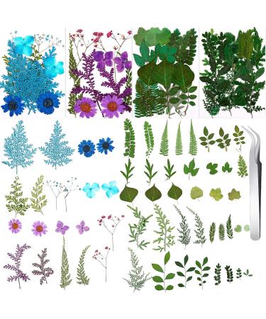 109 Piece Real Dried Pressed Flowers Set with Tweezers - Craft DIY Candle Resin Jewelry Nail Pendant Making Supplies - Buy Online on SooperMarket.com
