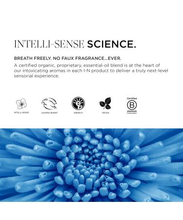 Intelligent Nutrients Amplifi-hair Style & Restyler Spray Volume Boost and Texture Styling for All Hair Types Vegan 5 Oz - Buy Online on SooperMarket.com