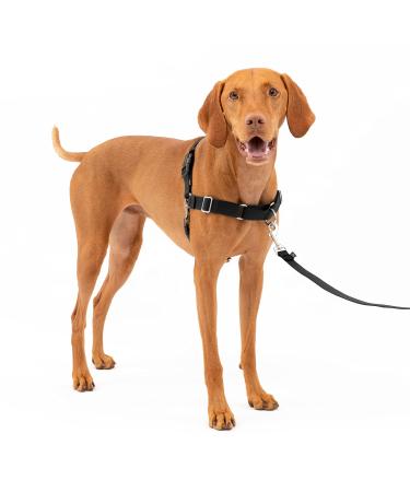 PetSafe Easy Walk Harness Anti-Pull Dog Harness Reduces Choking and Coughing With 1.8M Leash Size M Black M Black