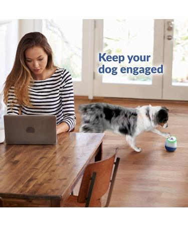 PupPod Gaming System for Dogs - Interactive Training Toy with Video Feeder & Mobile App - Buy Online on SooperMarket.com
