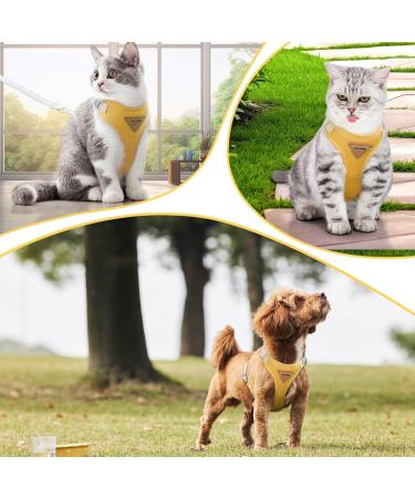 Premium Adjustable Cat Dishes - Break-Safe Design with Leash & Soft Chest Harness | Ideal for Kittens & Puppies - Buy Online on SooperMarket.com