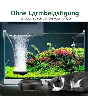 Buy AQQA Ultra Quiet 2.5W Aquarium Air Pump - Adjustable Oxygen Pump with Double Outlet Valve for Optimal Fish Tank Aeration - Buy Online on SooperMarket.com