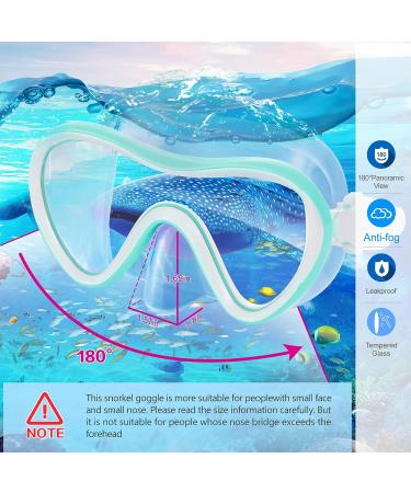 Supertrip 2023 Snorkeling Gear Set - Anti-Fog Tempered Glass Mask for Adults in Lake Blue - Buy Online on SooperMarket.com