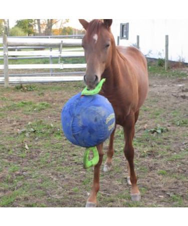 Signature Horsemen's Pride 14-Inch Horse Jolly Tug Blue one size - Buy Online on SooperMarket.com