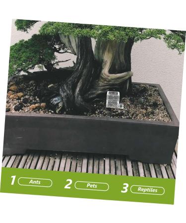 Hohopeti Pet Water Feeder Ants Feeding Bowl Insect Water Feeder Transparent Ants Feeding Cup Plastic - Buy Online on SooperMarket.com