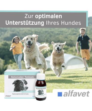Alfavet Reconvales Tonicum for Dogs | Appetizing Supplementary Feed for Convalescence & Weight Gain | 6 x 90 ml Bottles - International Shipping Available - Buy Online on SooperMarket.com