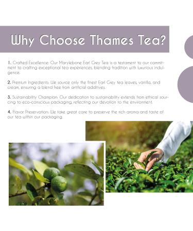 Thames Tea: Premium Flavoured Loose Leaf Cream Earl Grey - Tubebox | Luxury British Tea Experience - Buy Online on SooperMarket.com