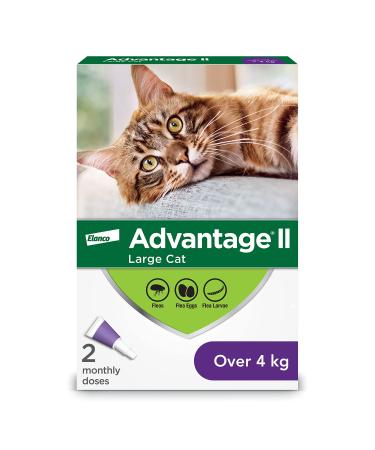 Advantage II Flea Protection for Large Cats weighing over 4 kg (over 9 lbs.) 2 doses