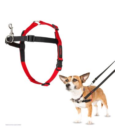 Halti Front Control Anti -Zug dishes size small - prevents your dog on the leash control your dog gently over the chest area simple adjustment and use