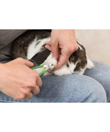 Trixie Pet Grooming Nail Clippers for Small Dogs, Cats, Animals & Birds - 3 (8cm) - Buy Online on SooperMarket.com
