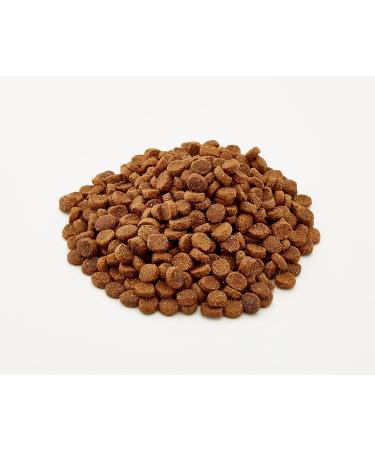 Venandi Animal Premium Cat Food - Salmon Grain-Free Fresh Fish Dry Food - 300g Pack - Buy Online on SooperMarket.com