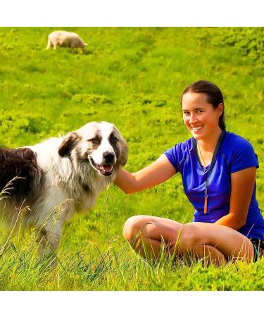 Fannas Dog Whistle Set - 2 Adjustable High-Frequency Whistles for Effective Dog Training | Loud Far-Reaching & Comes with Free Pipe Band - Blue/Orange - Buy Online on SooperMarket.com