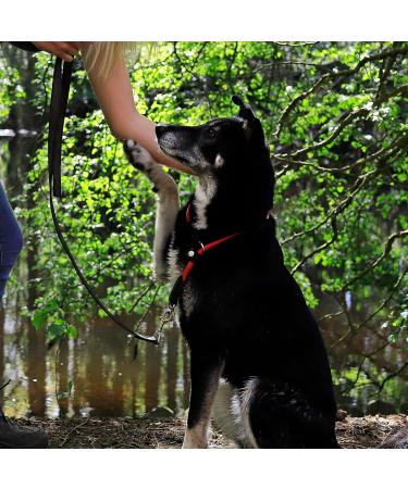 Lionto Dog Collar for Retrievers - 45 cm Red Training Collar | Durable & Adjustable - Perfect for Training & Daily Use - Buy Online on SooperMarket.com