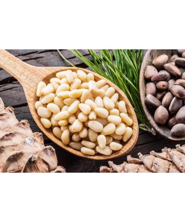 Buy Mynatura Bio Cedar Nuclei - Siberian Wild Collection 500g | Premium Pine Nuts Snack Mix | Healthy Nut Mix - Buy Online on SooperMarket.com