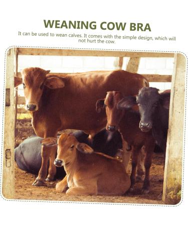 Buy Milk Hood Cow Breast Cover - Calf Weaner Tool for Cattle - Farm Supplies & Animal Husbandry Equipment - Buy Online on SooperMarket.com