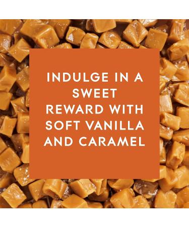 Glade PlugIns Vanilla Caramel Twist Air Freshener Refills - 1.34 Fl Oz, 2 Count - Buy Online on SooperMarket.com