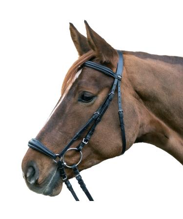 Star Waldhausen Bridle Hannover Black Pony