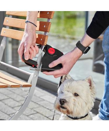Dogxi 5m Retractable Dog Leash for Small & Medium Dogs - Adjustable Black Belt with Carabiner Perfect for Car Use - 25kg Capacity - Buy Online on SooperMarket.com