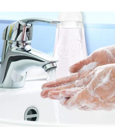 Dial Complete Foaming Antibacterial Hand Wash - Soothing White Tea - 7.5oz (1 Pack) - Buy Online on SooperMarket.com