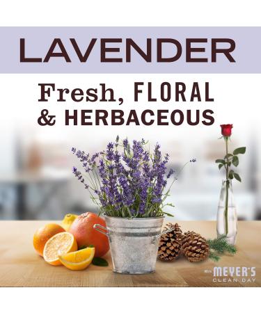 Buy Mrs. Meyers Clean Day Foaming Hand Soap - Eco-Friendly Versatile and Made with Essential Oils - International Shipping Available - Buy Online on SooperMarket.com