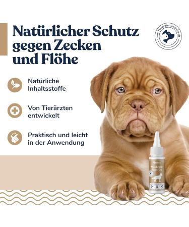 Felmo Spot-On for Dogs 50ml | Natural Tick & Flea Protection with Black Cumin Oil | Vet Recommended - Buy Online on SooperMarket.com