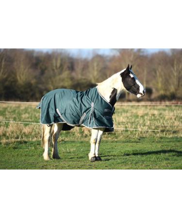 Lightweight No Fill Turnout Horse Rug Horse Turnout Rug 0g Fill 600d Lightweight No Fill Turnout Horse Rugs | Standard Neck Horse Rain Sheet (6'3'')