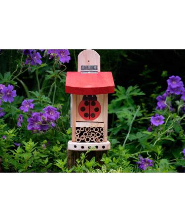 Wildlife World LBT4 Live Ladybird Lodge in Red/Brown - Natural Pest Control Solution - Buy Online on SooperMarket.com