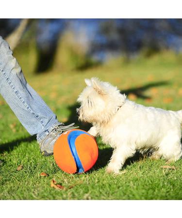 Chuckit! Large Regular Glow Ball - Bright and Durable Fetch Toy - Buy Online on SooperMarket.com