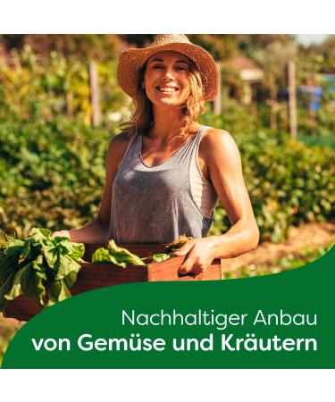 Knorr Gourmet Forest Mushroom Cream Soup - 16 Pack No Additives or Dyes - Delicious & Authentic Flavor - Buy Online on SooperMarket.com