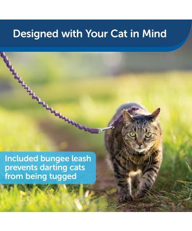 PetSafe Come with Me Kitty Harness & Bungee Leash for Cats - Lilac/Light Purple - Small - Comfortable Safe and Adjustable Hiking Gear - Buy Online on SooperMarket.com