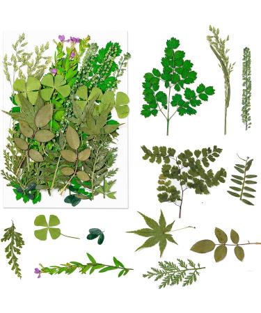 Dried Pressed Flowers 170+ Pcs - Bulk Natural Floral Fillers for Resin Crafts & Jewelry - 5 Color Set - Buy Online on SooperMarket.com