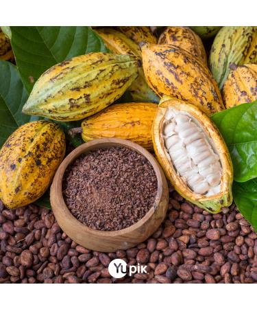 Yupik Dark Chocolate Coconut Almonds - 2.2 lb | Premium Quality Snack Mix - Buy Online on SooperMarket.com