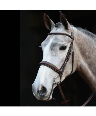 Collegiate Mono Crown Padded Raised Cavesson Bridle Full Black