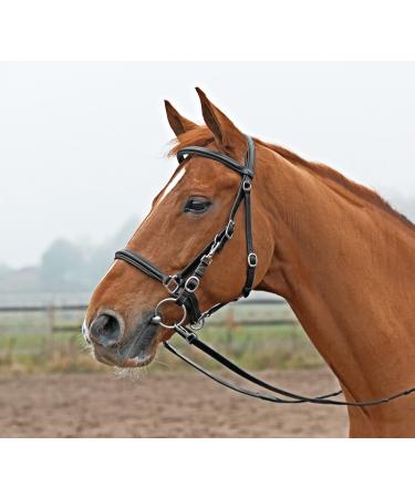 Solibel trekking bridle black fitting: stainless steel coldblood