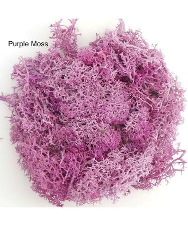 9 OZ Preserved Moss - Natural Live & Fake Moss for Potted Plants, Terrariums, Gardening, Art, Vase Fillers, Craft Floral Wall, Wedding Decor - Green, Purple, Pink - Buy Online on SooperMarket.com