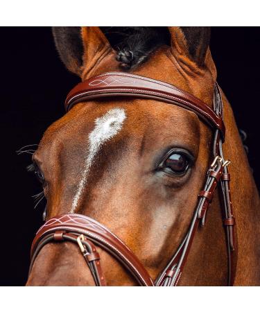 HORZE Sion Padded Leather Horse Snaffle Bridle with Flash Noseband and Rubberized Reins - Brown Horse - Buy Online on SooperMarket.com