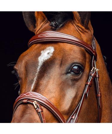 HORZE Horse Bridle Sion - English Noseband & Reins for Thoroughbred - Brown Color - International Shipping Available - Buy Online on SooperMarket.com