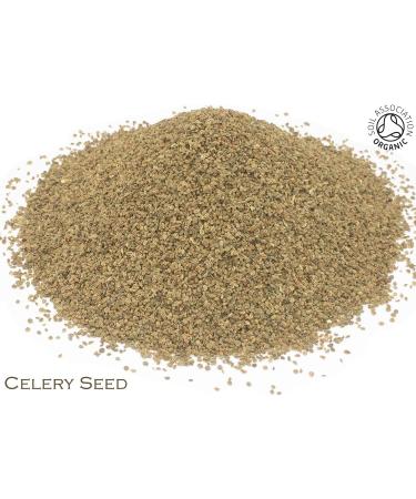 Organic Celery Seed Pure Herbal Infusion (25 Unbleached Tea Bags - 50g) - Buy Online on SooperMarket.com