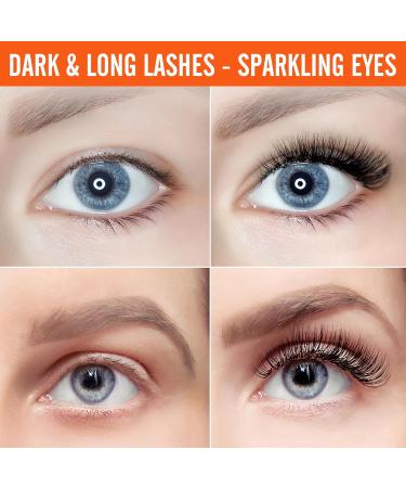 iMethod Eyelash and Eyebrow Tint Kit - Lash and Brow Tint Kit At Home Eye Brow Dye Professional Instant Salon Result Perfect with Lamination Kit Vegan Cruelty Free Light Brown 04 Light Brown - Buy Online on SooperMarket.com