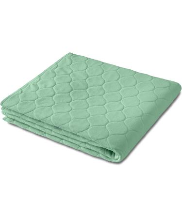 Shop A&F Incontinence Edition: 40x75 Washable Hospital Pad - 4 Layer 26280ml/m Suction Power for Baby Bed & Cot | 1 Pack - Buy Online on SooperMarket.com