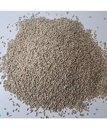 Mills Rye Grains 1kg - Fresh Whole Grain Cleaned Rye Kernels | High-Quality Rye from R tze Mill - Buy Online on SooperMarket.com