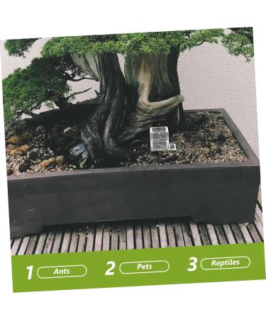 Kisangel 4pcs Pet Water Feeder Insect Water Bowl Ants Water Feeder Ants Habitat Water Feeding Plastic - Buy Online on SooperMarket.com