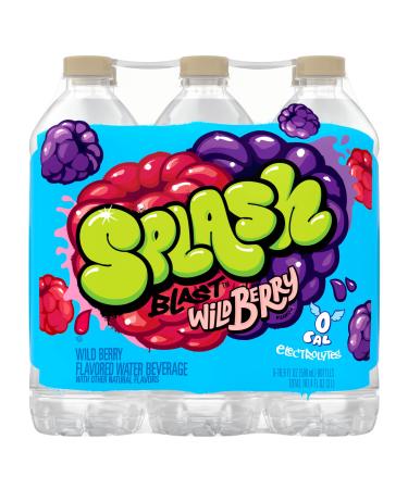 Splash Blast, Wild Berry Flavored Water, Zero Sugar, with Electrolytes, 16.9 Fl Oz, 6 Pack
