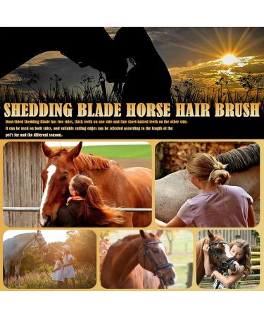 Maodom 5 PCs Shedding Blade Pet Care Tool | Metal Fur Brush for Dogs & Horses - Coarse & Fine Teeth - Buy Online on SooperMarket.com