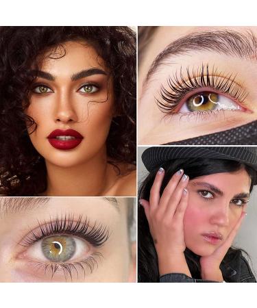 PERMANIA Lash Lift Kit - 4-in-1 Eyelash & Brow Perm in Black - Lasts 6-8 Weeks - Includes 25 Tools - Buy Online on SooperMarket.com