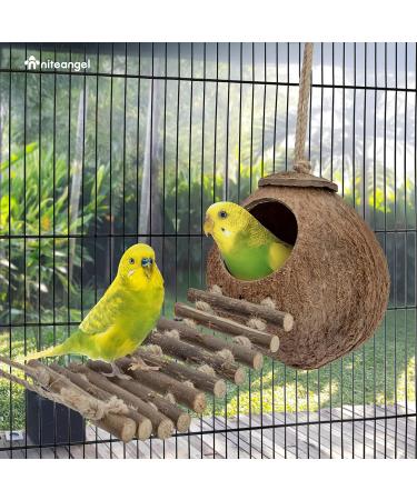 Niteangel Natural Bird Nests Coconut Hideaway with Ladder Bird and Small Animal Toy (House with Ladder Natural Surface) House with Ladder Natural Surface - Buy Online on SooperMarket.com