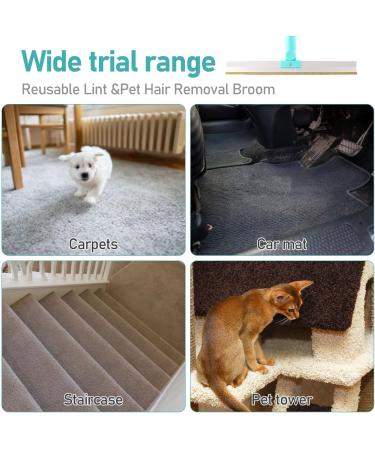 Portable Self-Cleaning Foot Remover for Pets | Lint Brush for Dog & Cat Hair | Reusable Carpet Cleaner - Buy Online on SooperMarket.com